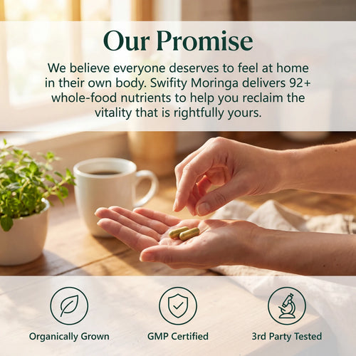 Swifity Moringa